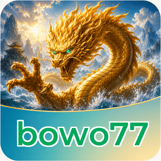 bowo77 Technical Info